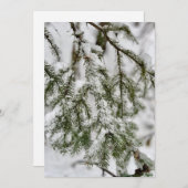 Cartes Pour Fêtes Annuelles Tiny Diamonds of Ice Clinging to Emerald Needles (Devant / Derrière)