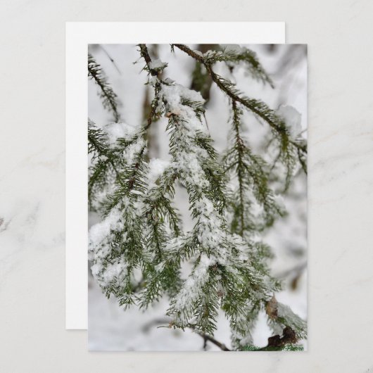 Cartes Pour Fêtes Annuelles Tiny Diamonds of Ice Clinging to Emerald Needles (Devant / Derrière)