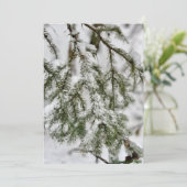 Cartes Pour Fêtes Annuelles Tiny Diamonds of Ice Clinging to Emerald Needles (Debout devant)