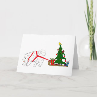 Cartes Pour Fêtes Annuelles Tirez le Samoyed tirant l'arbre de Noël
