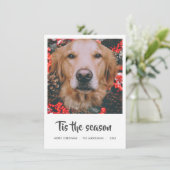 Cartes Pour Fêtes Annuelles Tis Season Script Photo de Noël | Chien pour anima (Debout devant)