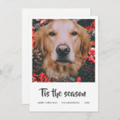 Cartes Pour Fêtes Annuelles Tis Season Script Photo de Noël | Chien pour anima (Devant / Derrière)