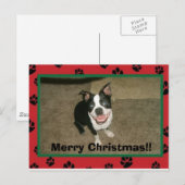 Cartes Pour Fêtes Annuelles tobyxmascard, Joyeux Noël ! ! (Devant / Derrière)