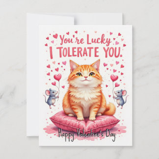 Cartes Pour Fêtes Annuelles 💘🐈Tolerate This Love
