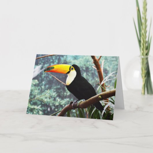Cartes Pour Fêtes Annuelles Toucan (Devant)