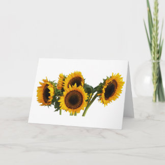 Cartes Pour Fêtes Annuelles Tournesols ensoleillés