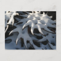 Tractor Cultivator Wheel Christmas Postcard