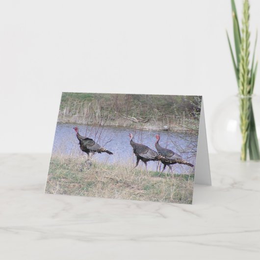 Cartes Pour Fêtes Annuelles Trio de Turkey (Devant)