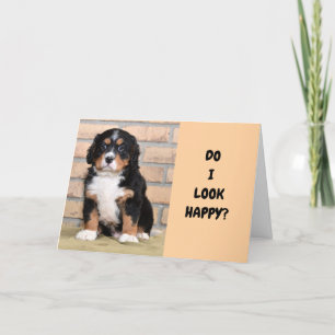 CARTES POUR FÊTES ANNUELLES TRISTE J'AI OUBLIÉ "TON ANNIVERSAIRE"