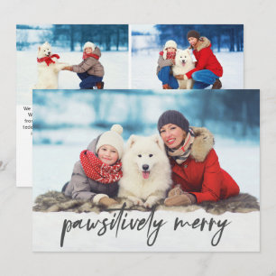 Cartes Pour Fêtes Annuelles Trois Animaux De Compagnie De Photo Dit Joyeux De 