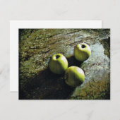 Cartes Pour Fêtes Annuelles Trois pommes (Devant / Derrière)