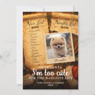 Cartes Pour Fêtes Annuelles Trop Mignon Père Noël Jolie Liste des Vilains Phot