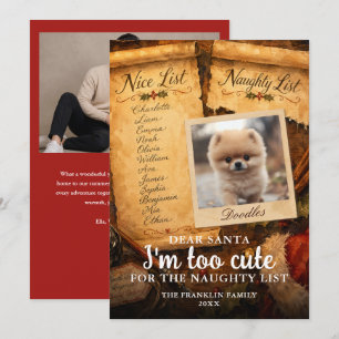 Cartes Pour Fêtes Annuelles Trop mignon Père Noël Liste des gentils et des vil
