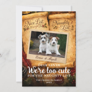 Cartes Pour Fêtes Annuelles Trop mignon Père Noël Liste des gentils et des vil