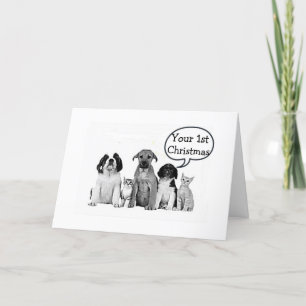 Cartes Pour Fêtes Annuelles TROUPEAU DE CHIENS "JOYEUX 1er NOËL à ENFANT"