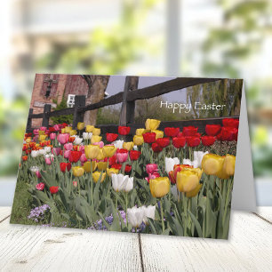 Cartes Pour Fêtes Annuelles Tulip Garden Happy Easter