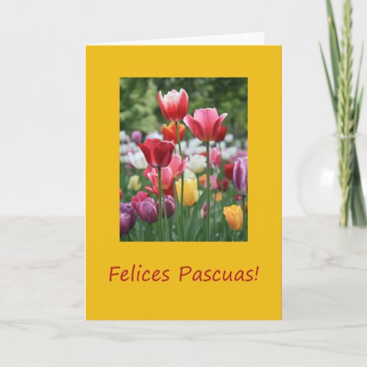 Cartes Pour Fêtes Annuelles Tulipe de Pâques espagnole (Devant)