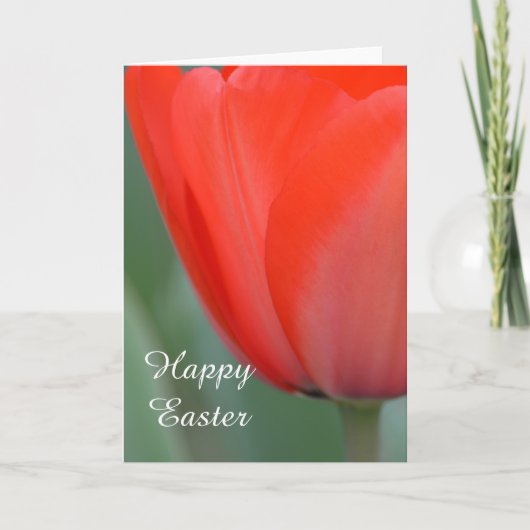Cartes Pour Fêtes Annuelles Tulipe rouge (Devant)