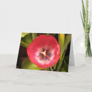 Cartes Pour Fêtes Annuelles Tulipe rouge I