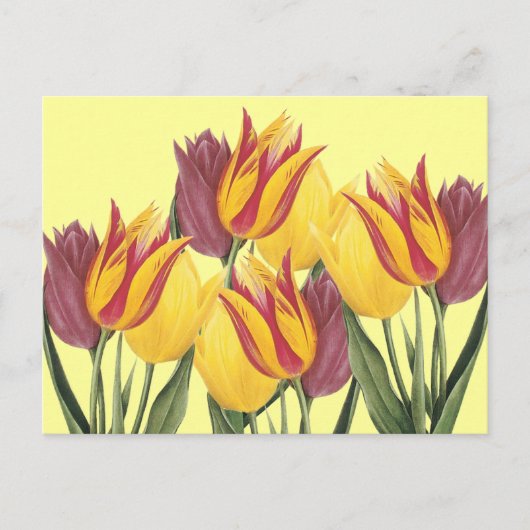Cartes Pour Fêtes Annuelles Tulipes de Pâques (Devant)