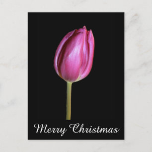 Cartes Pour Fêtes Annuelles Tulipes roses Joyeux Noël Floral Flower Photos