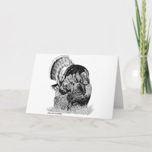 Cartes Pour Fêtes Annuelles Turquie sauvage