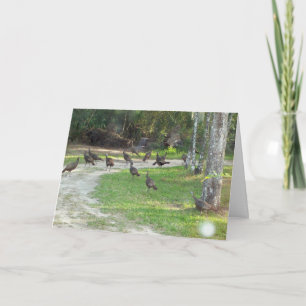 Cartes Pour Fêtes Annuelles Turquie sauvage