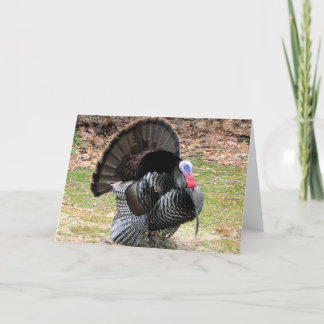 Cartes Pour Fêtes Annuelles Turquie sauvage