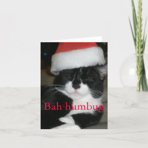 Cartes Pour Fêtes Annuelles Tuxedo Chat à Santa Hat