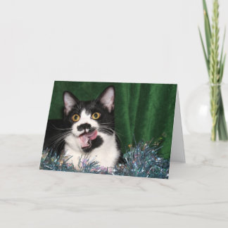 Cartes Pour Fêtes Annuelles Tuxedo kitty Christmas