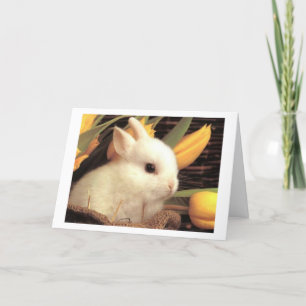 CARTES POUR FÊTES ANNUELLES TWIN-CE BUNNY DIT HAPPY EASTER