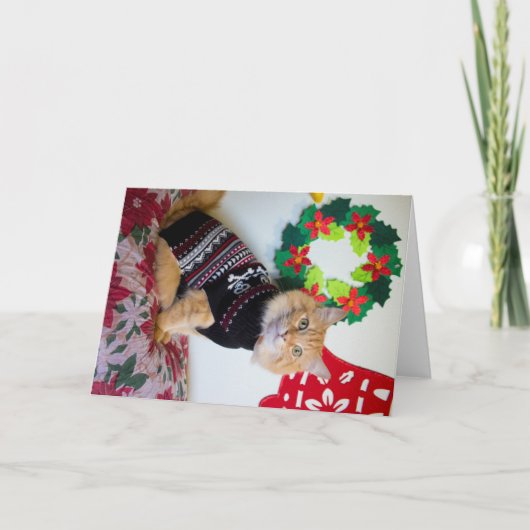 Cartes Pour Fêtes Annuelles Type du Maine I (Devant)