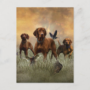 Cartes Pour Fêtes Annuelles Un aristocrate polyvalent dans la Vizsla hongroise