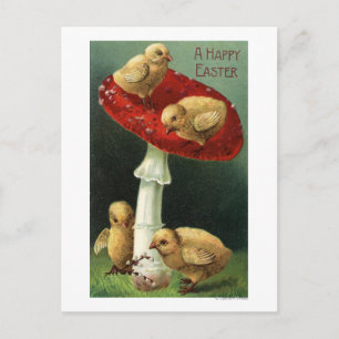 Cartes Pour Fêtes Annuelles Un bon Pâques sur les champignons rouges