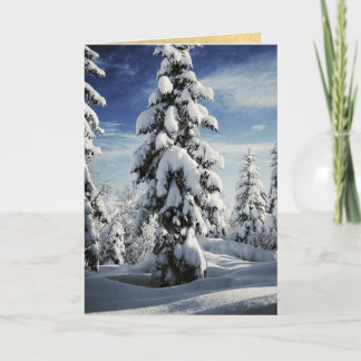 Cartes Pour Fêtes Annuelles Un champ des arbres de Noël