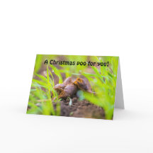 Un chien de Noël pour vous