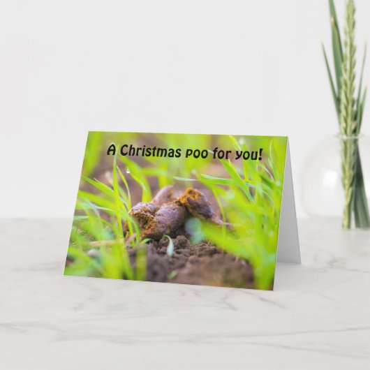 Cartes Pour Fêtes Annuelles Un chien de Noël pour vous (Devant)