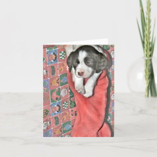 Cartes Pour Fêtes Annuelles Un Chiot Pour Noël