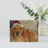 Cartes Pour Fêtes Annuelles Un golden retriever à Noël avec le casquette de (Debout devant)