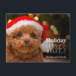 Cartes Pour Fêtes Annuelles Un gros plan, d'un caniche à jouet rouge<br><div class="desc">Un caniche à jouets portant un chapeau de Père Noël.</div>