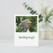 Cartes Pour Fêtes Annuelles Un héron vert (Debout devant)