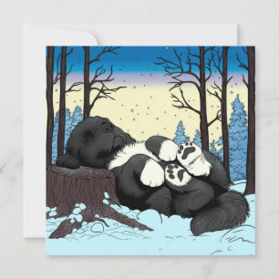Cartes Pour Fêtes Annuelles Un hiver calme Une sieste à Terre-Neuve