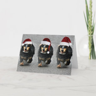 Cartes Pour Fêtes Annuelles Un jaspe SausageChristmas