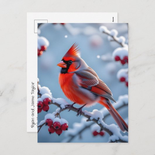 Cartes Pour Fêtes Annuelles Un joli cardinal sur un Noël enneigé (Devant / Derrière)