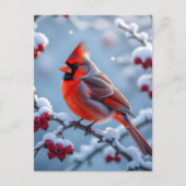 Cartes Pour Fêtes Annuelles Un joli cardinal sur un Noël enneigé (Devant)