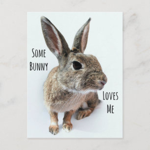 Cartes Pour Fêtes Annuelles Un Lapin M'Aime Collection Lapin Pâques