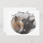 Cartes Pour Fêtes Annuelles Un Lapin T'Aime (Devant / Derrière)