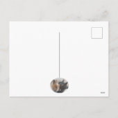 Cartes Pour Fêtes Annuelles Un Lapin T'Aime (Dos)