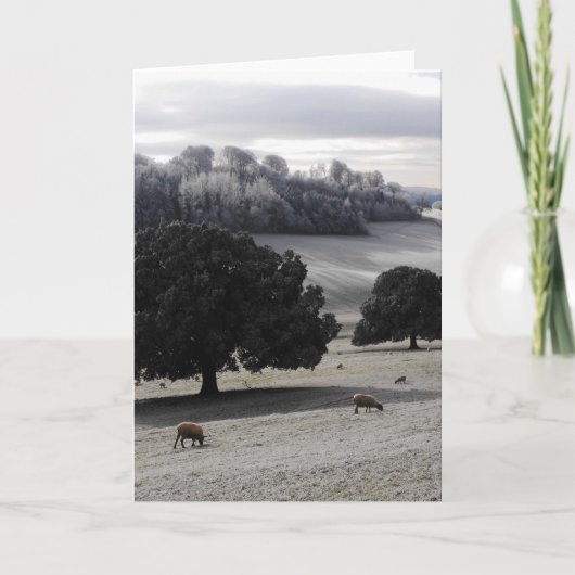 Cartes Pour Fêtes Annuelles Un matin glacé (Devant)