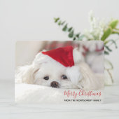 Cartes Pour Fêtes Annuelles Un mignon chien blanc dans un Casquette de Noël ro (Debout devant)